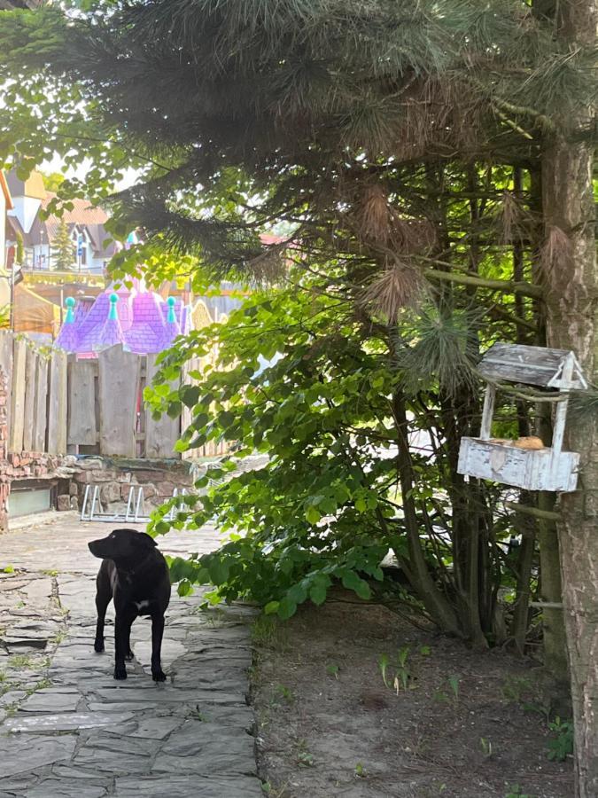 Willa Rycerz Zámek Niedzica Exteriér fotografie